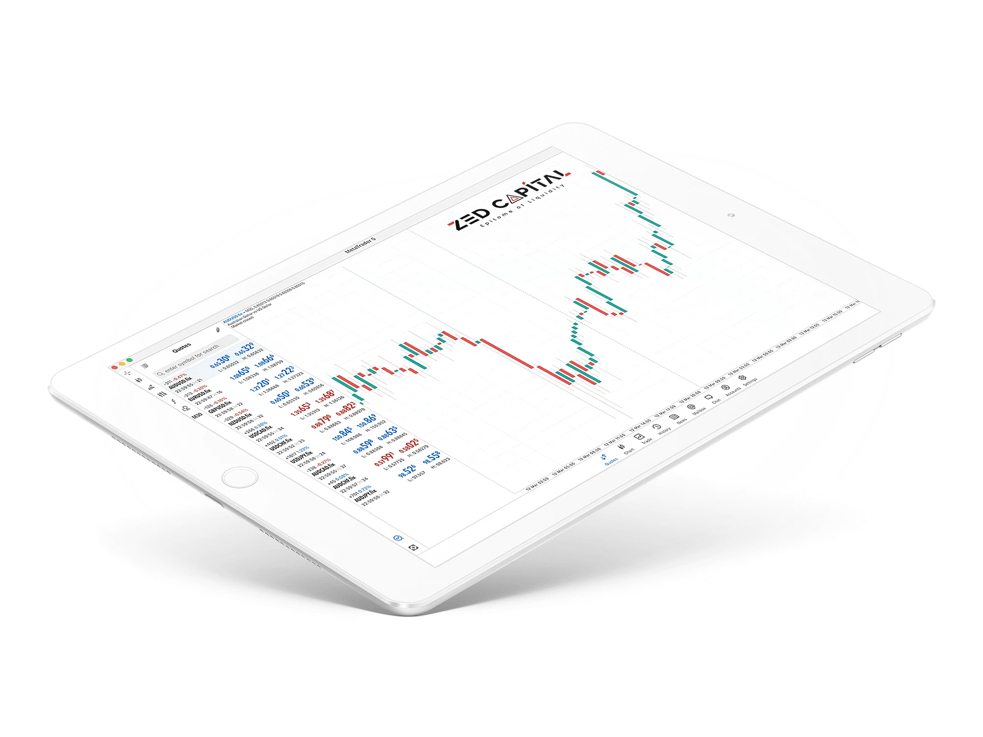 Professional Beginnings Trader