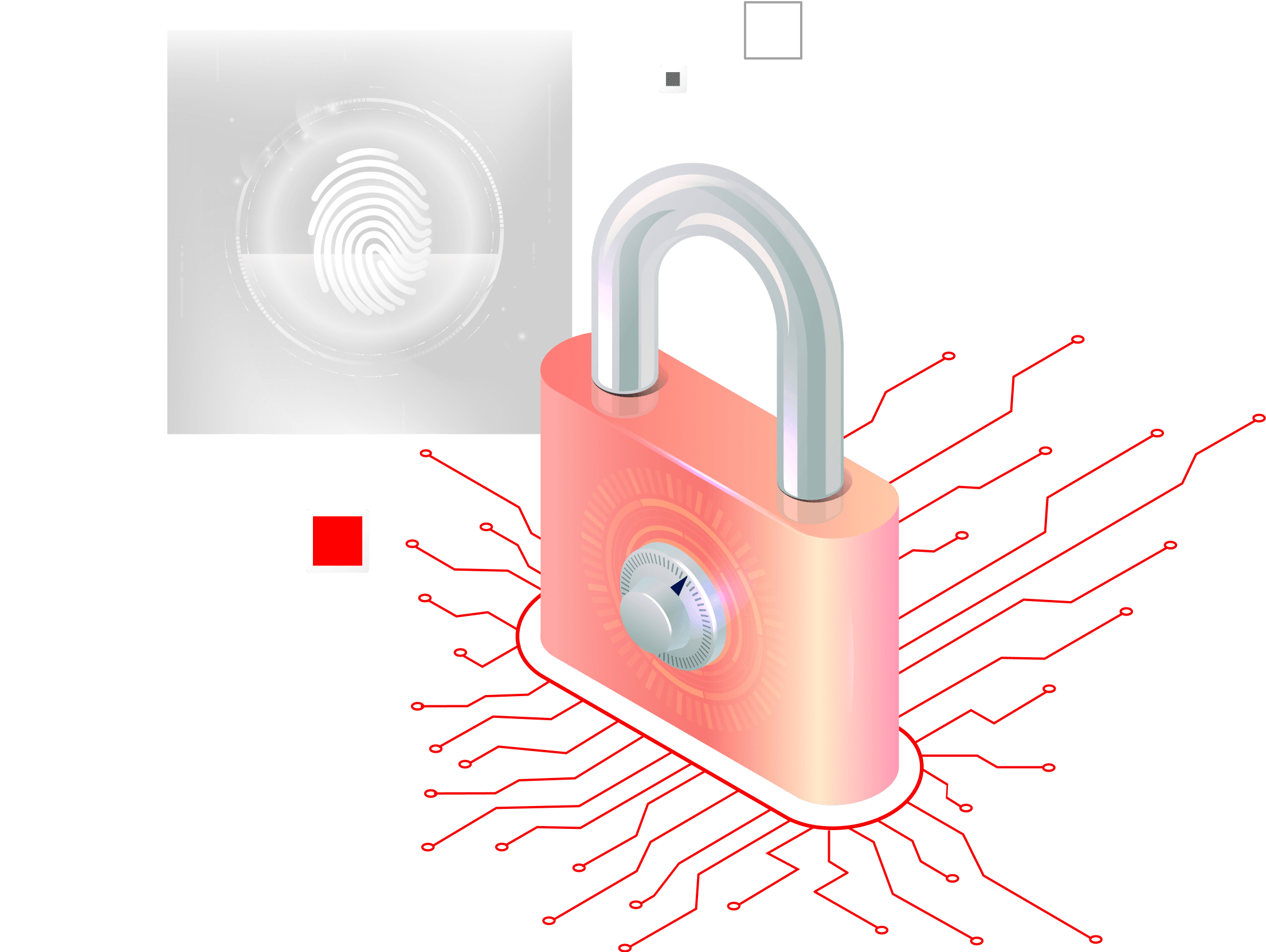 Lock Security Image